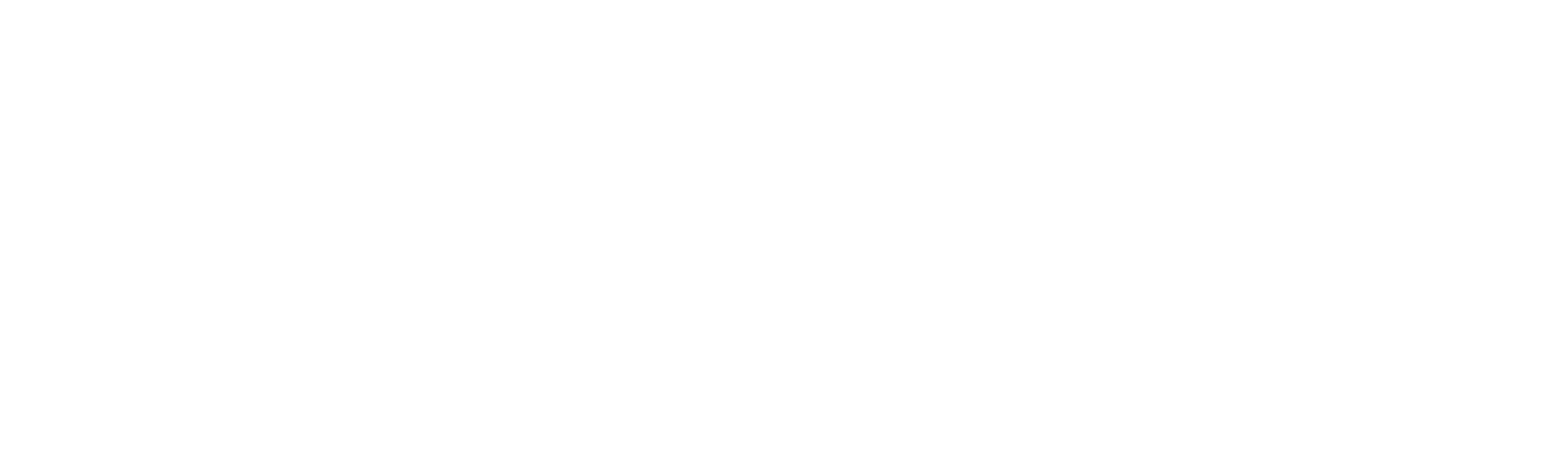 Autosoft DMS Logo