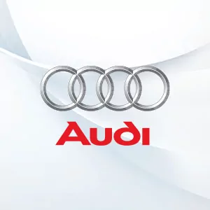 Audi OEM Integration